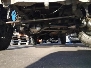 ASSALE ANT.  SUZUKI JIMNY «I» (1999) [it061775]